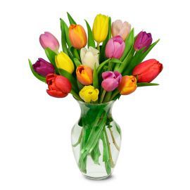  Malatya Çiçek Siparişi Vazoda 15 Renkli Lale